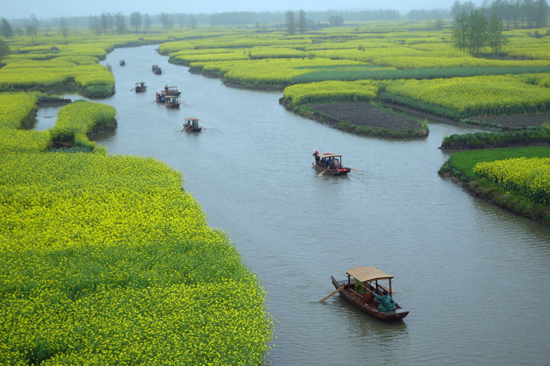 2014芳恩家居兴化赏油菜花