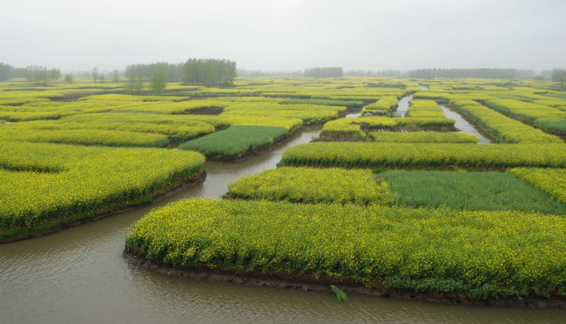 2014芳恩家居兴化赏油菜花